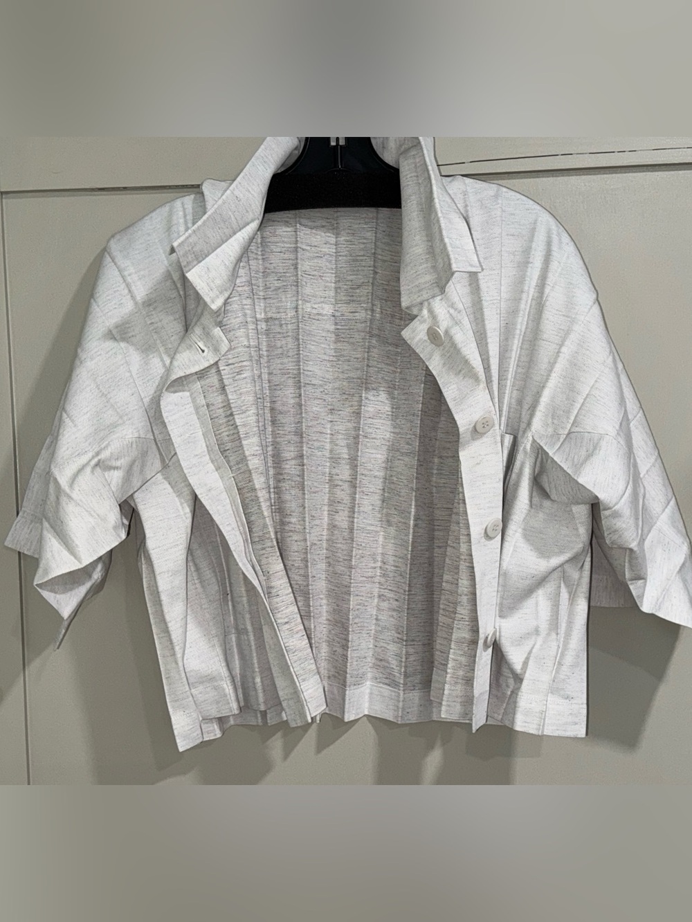 Issey Miyake jacket